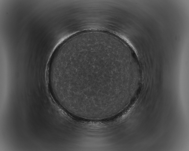 X0000086890983200705071219