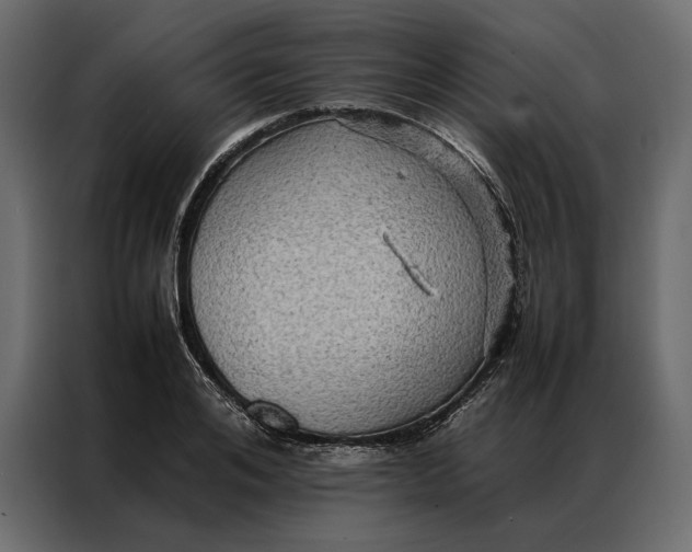 X0000086890984200705071219