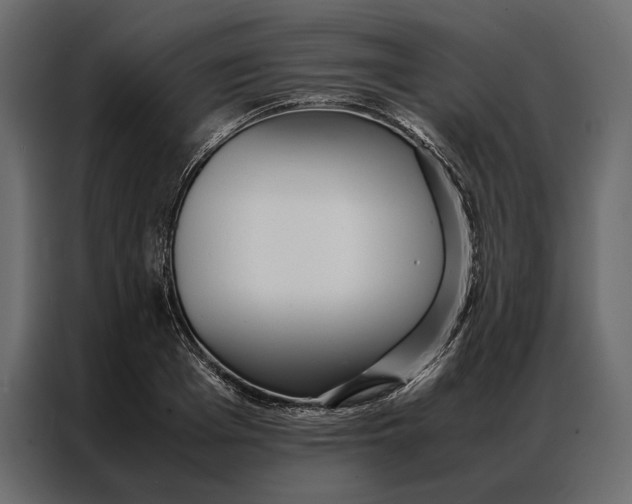 X0000086890985200705071219