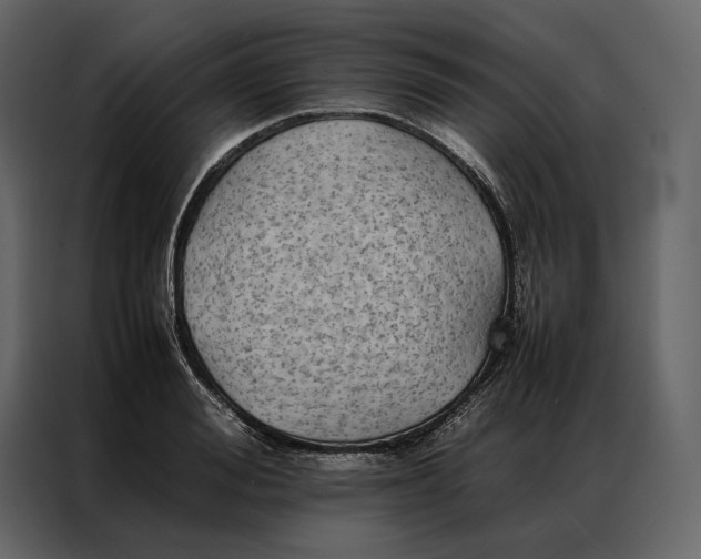 X0000086890988200705071219