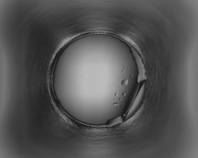 X0000086890989200705071219