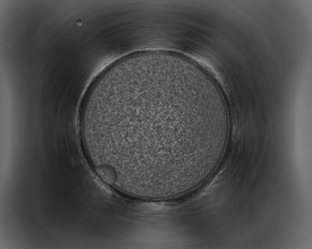 X0000086890990200705071219