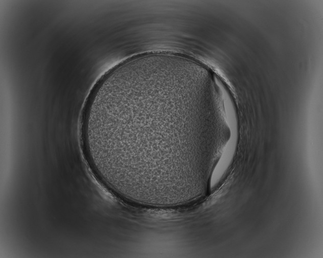 X0000086890991200705071219