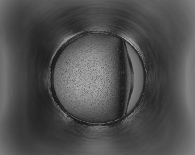 X0000086890992200705071219