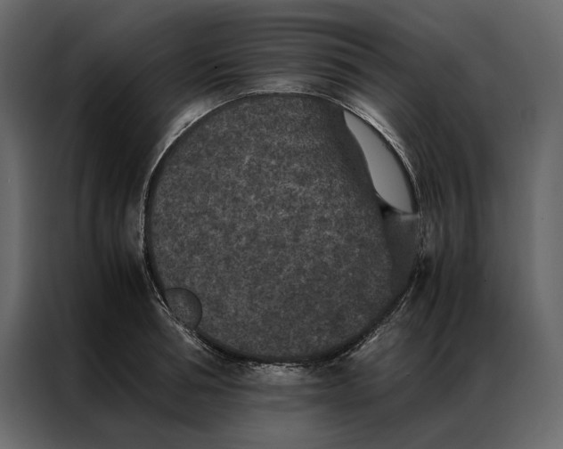 X0000086890994200705071219