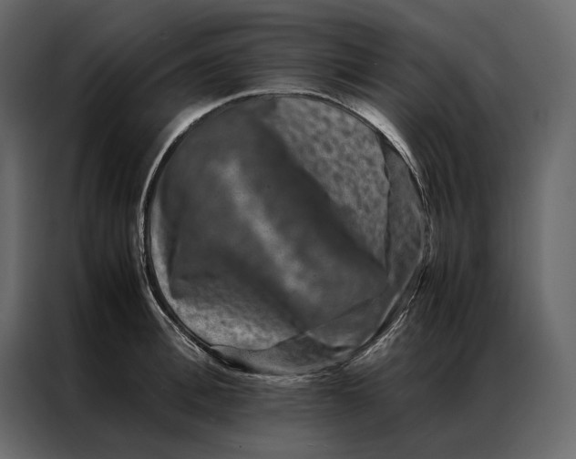 X0000086890996200705071219