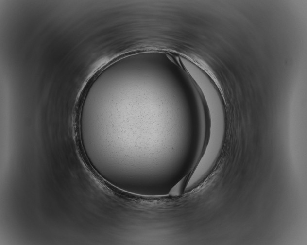 X0000086890997200705071219