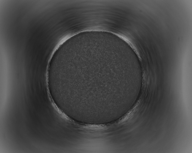 X0000086890998200705071219