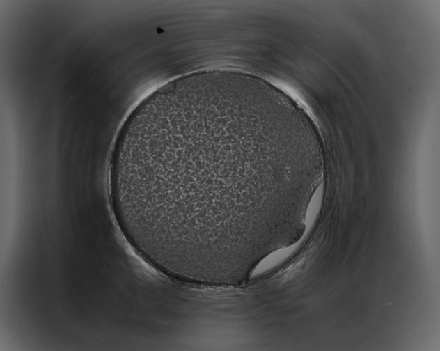 X0000086890999200705071219