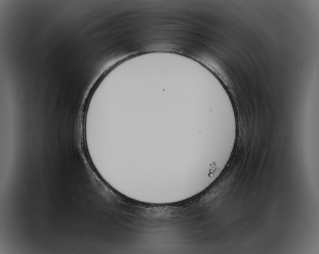 X0000086891000200705071219