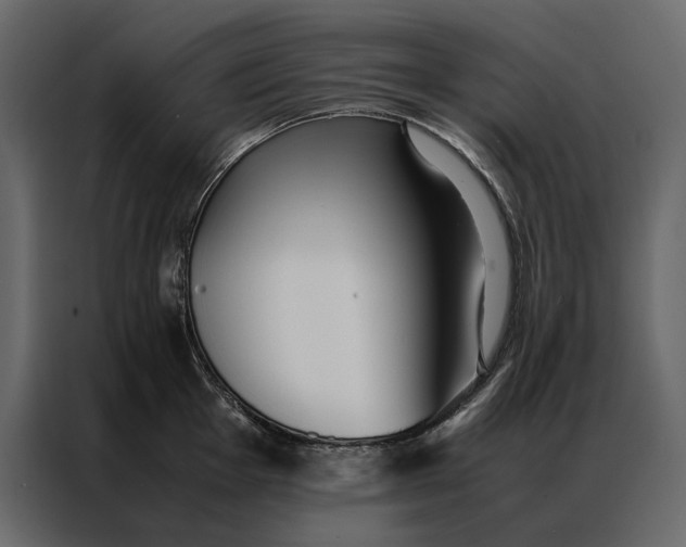 X0000086891001200705071219