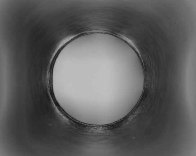 X0000086891003200705071219