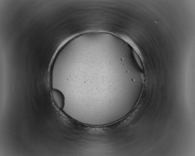 X0000086891004200705071219