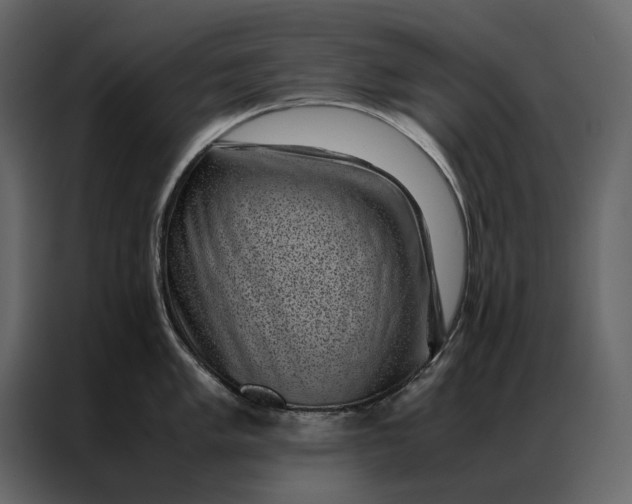 X0000086891005200705071219