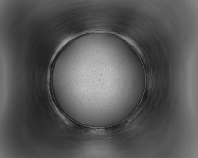 X0000086891006200705071219