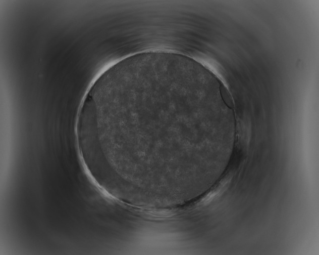 X0000086891007200705071219