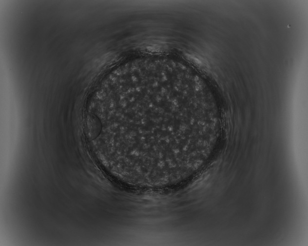 X0000086891009200705071218