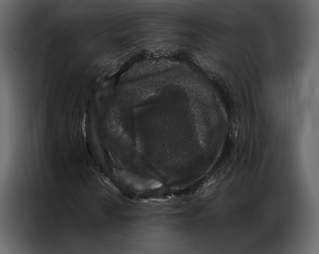 X0000086891010200705071218