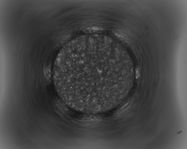 X0000086891011200705071218