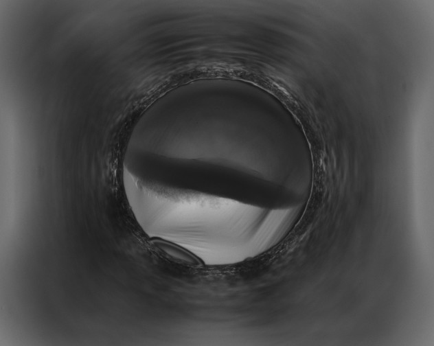 X0000086891013200705071218