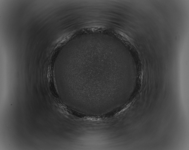 X0000086891014200705071218