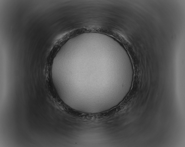 X0000086891016200705071218