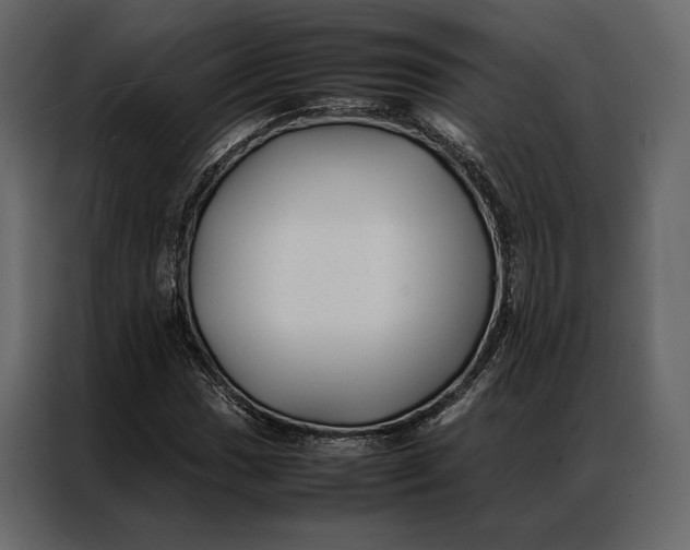 X0000086891017200705071218