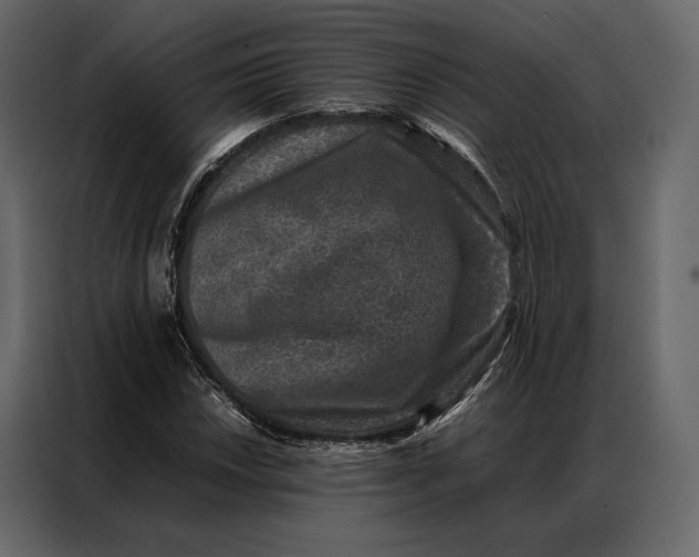 X0000086891018200705071218