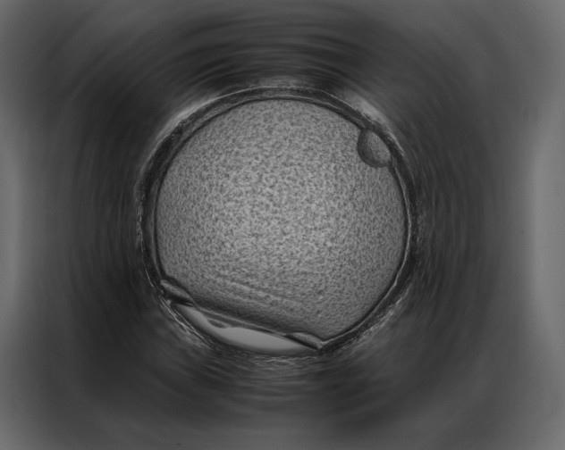 X0000086891019200705071218