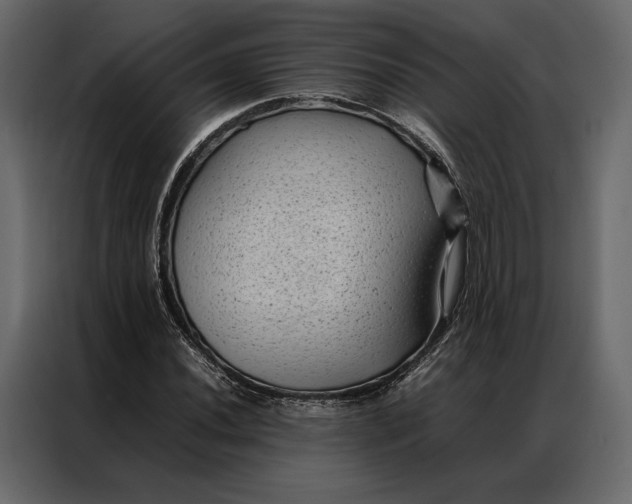 X0000086891020200705071218