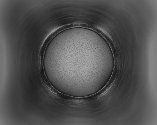 X0000086891021200705071218