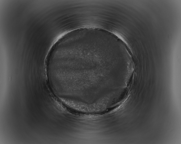 X0000086891022200705071218