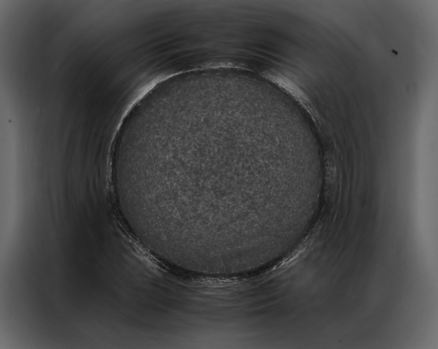 X0000086891023200705071218