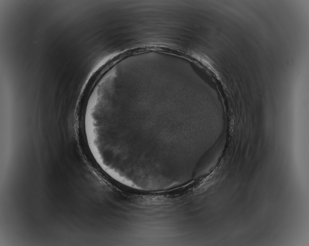 X0000086891024200705071218