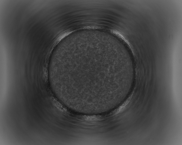 X0000086891025200705071218