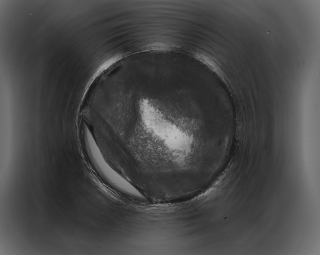 X0000086891026200705071218