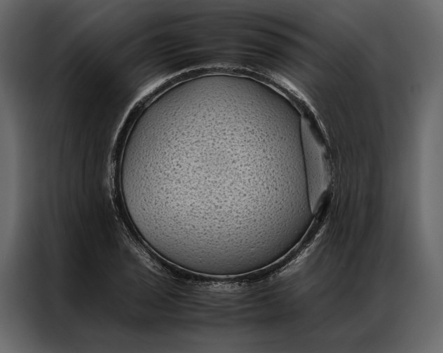 X0000086891029200705071218