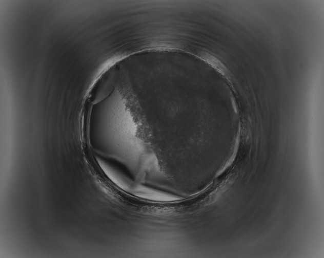 X0000086891030200705071218