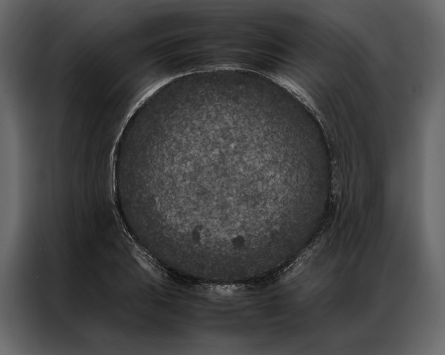 X0000086891031200705071219