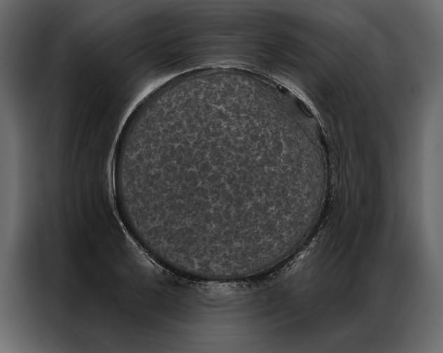 X0000086891032200705071219