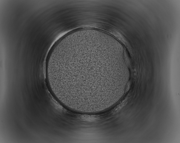 X0000086891036200705071219