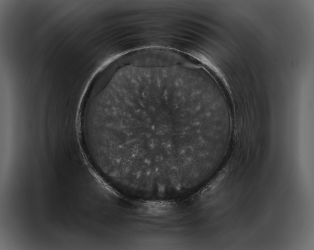 X0000086891037200705071219