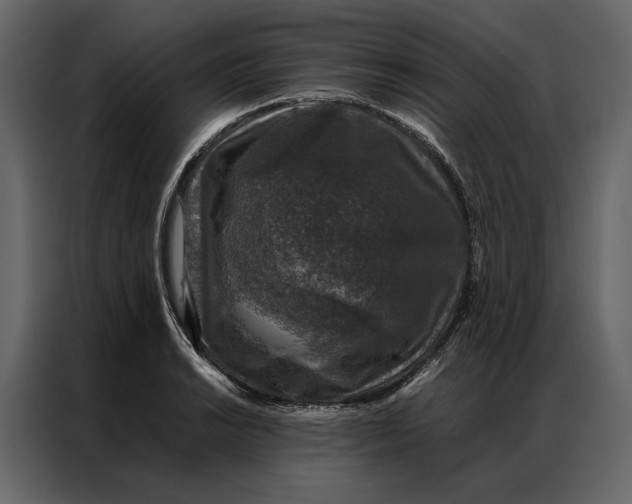 X0000086891038200705071219