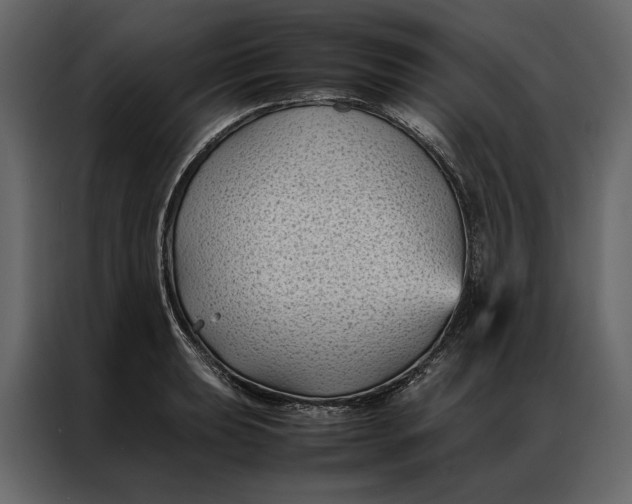 X0000086891039200705071219