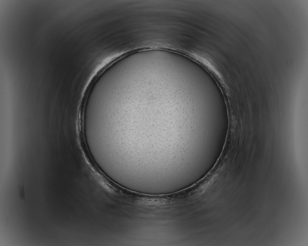 X0000086891040200705071219