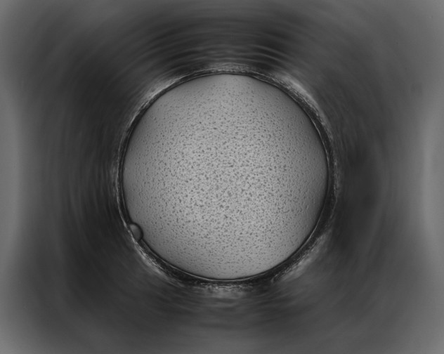 X0000086891041200705071219