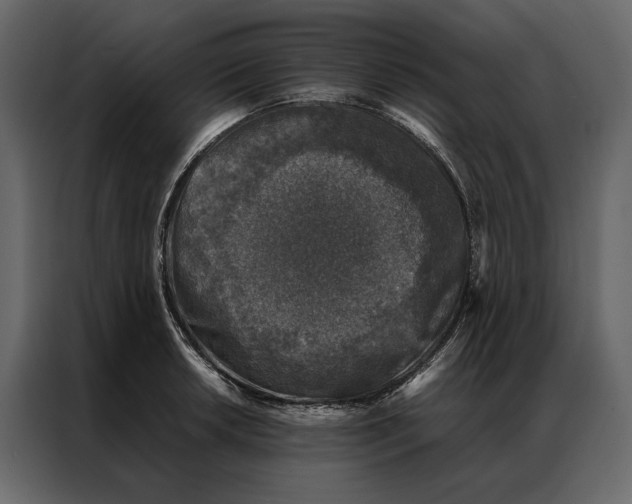 X0000086891042200705071219