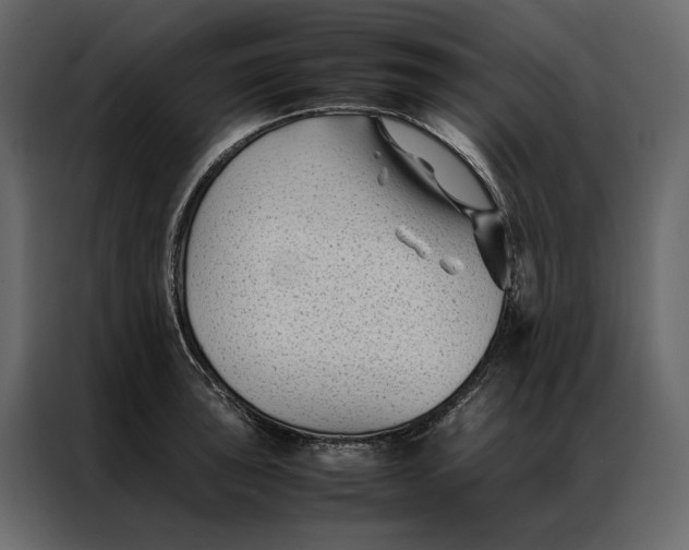 X0000086891043200705071219