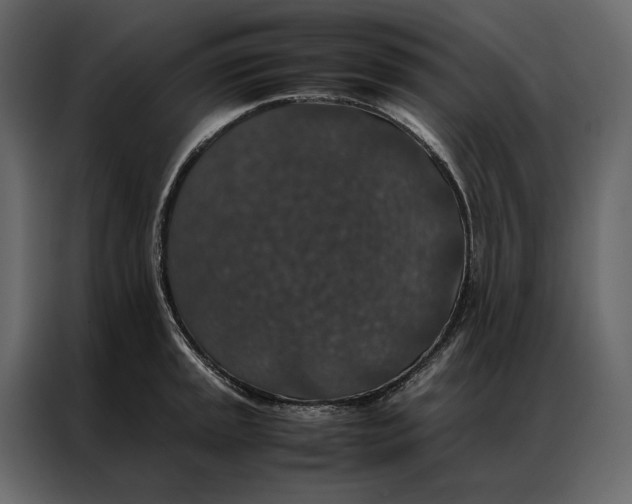 X0000086891045200705071219