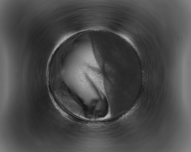 X0000086891046200705071219